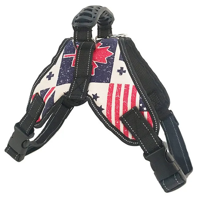 Harnesses Reflective Dog Leash