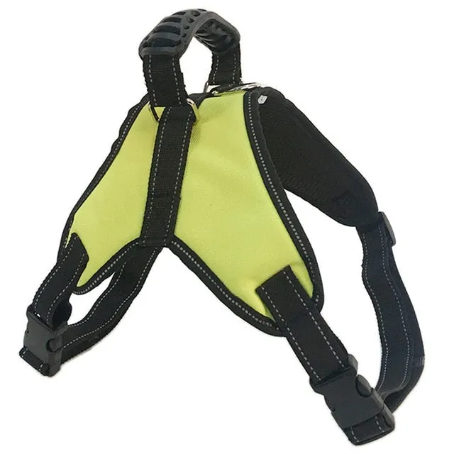 Harnesses Reflective Dog Leash