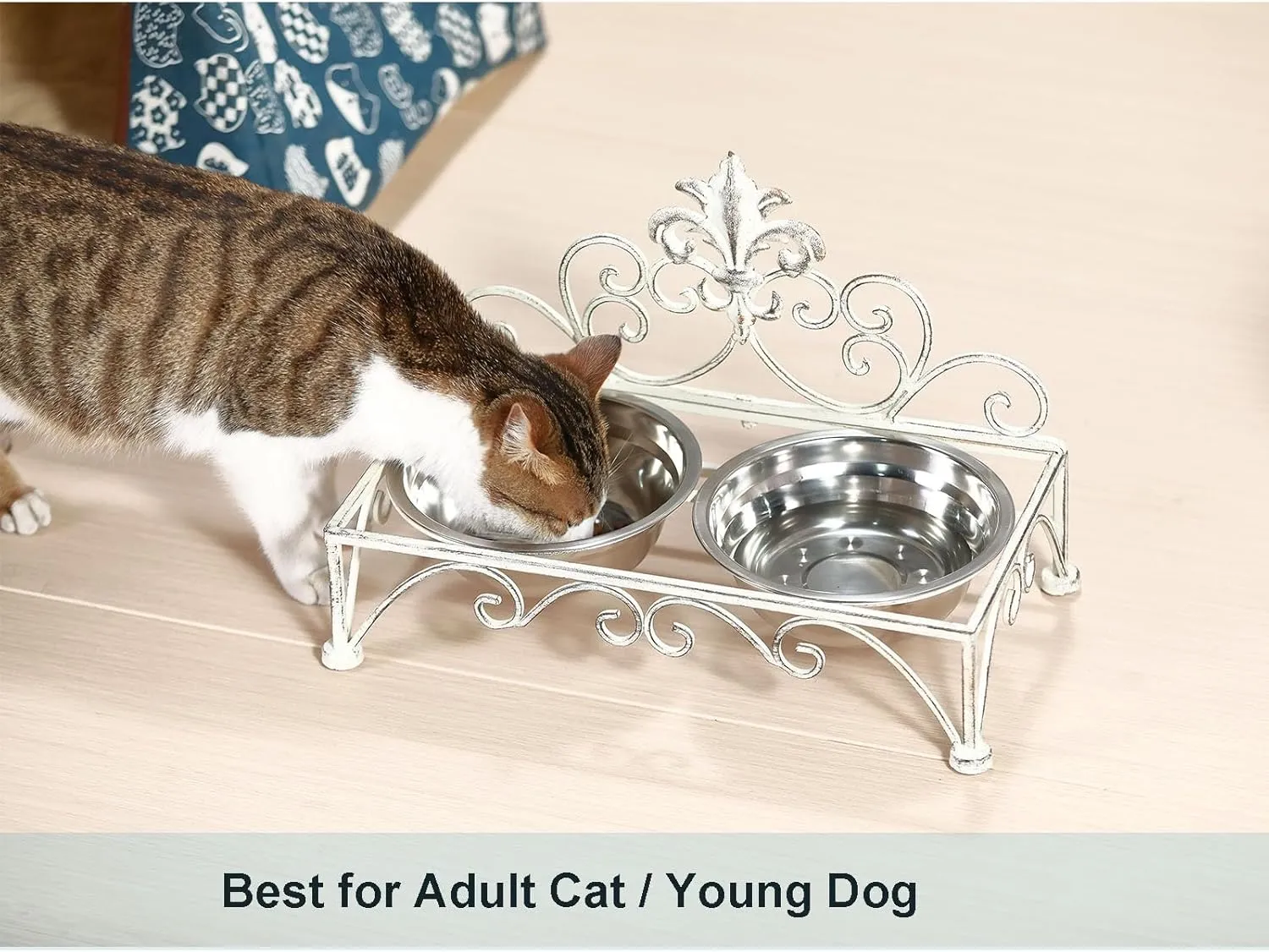 Iron Dog Cat Bowls Elevated - Dog Cat Food and Water Dish Bowl Set - Raised Small Dog Cat Bowl Stand - Antique White