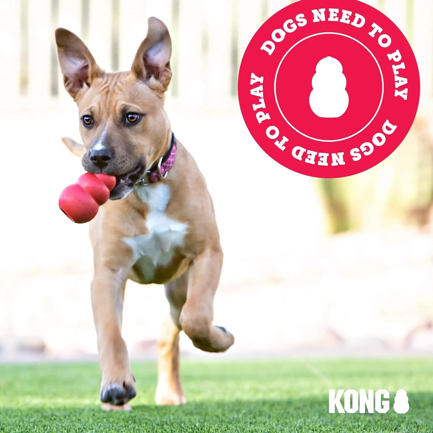 KONG Stuff-A-Ball - Durable Chew Toy for Dogs - Natural Rubber Dog Toy for Dental Health - Pet Toy for Chewing & Teeth Cleaning - Stuffable Toy for Dog Treats & Snacks - for Large Dogs