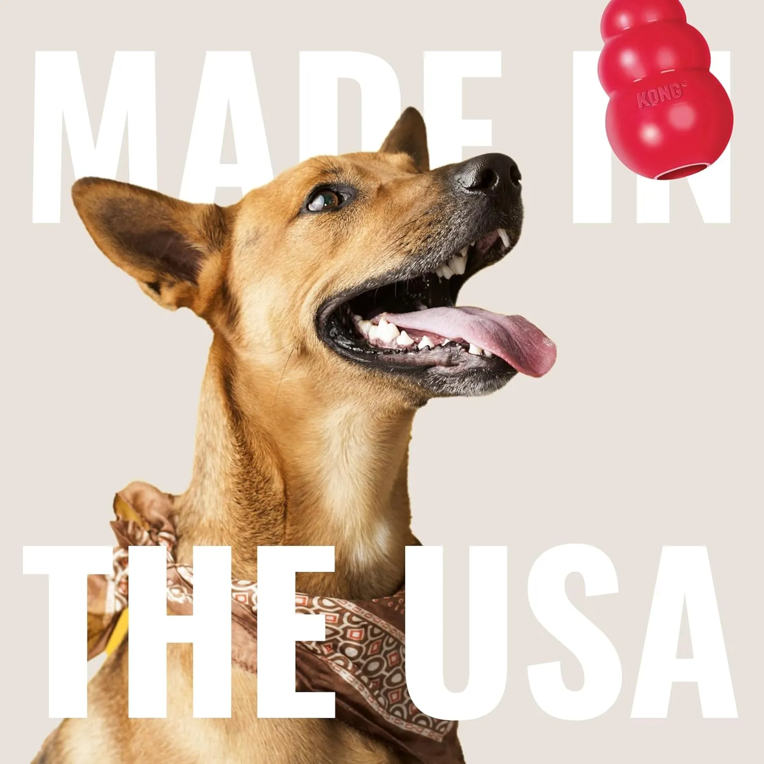 KONG Stuff-A-Ball - Durable Chew Toy for Dogs - Natural Rubber Dog Toy for Dental Health - Pet Toy for Chewing & Teeth Cleaning - Stuffable Toy for Dog Treats & Snacks - for Large Dogs