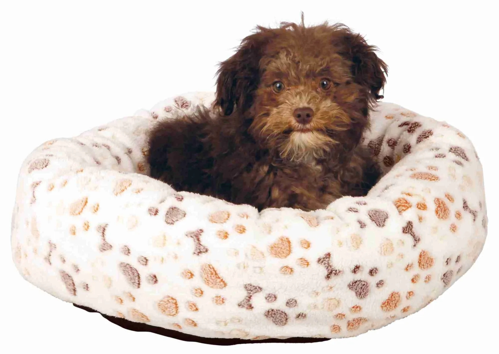 Lingo Bed