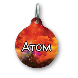 Lost in Space Circle Pet Tag