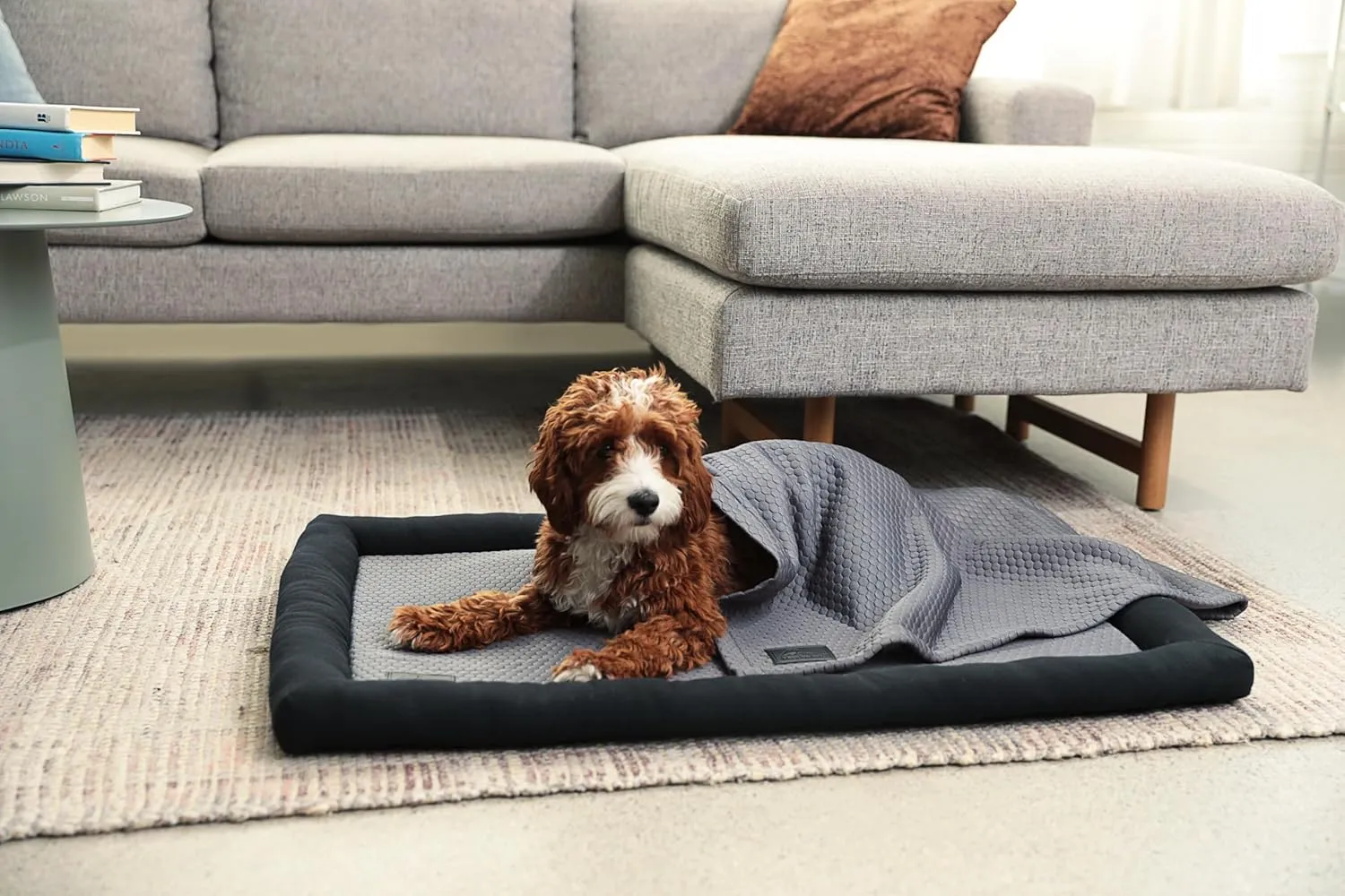 Meadowlark Cooling Blanket, Waterproof, Washable Couch Cover for Small to Large Dogs & Cats - 40 x 30 in Grey
