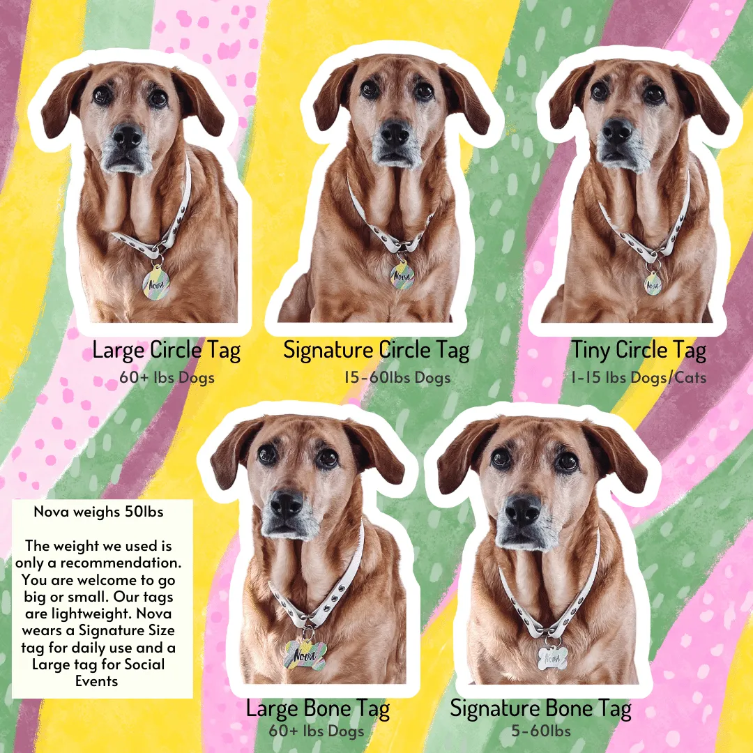 Moose Circle Pet Tag