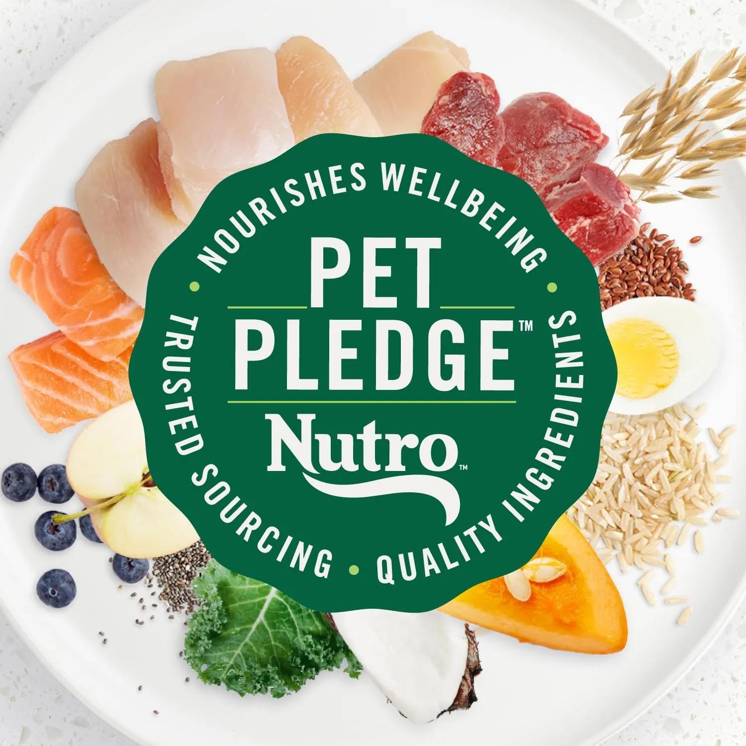 Nutro Ultra Adult Large Breed Dry Dog Food, Chicken, Lamb and Salmon Protein Trio, 13 lb Bag