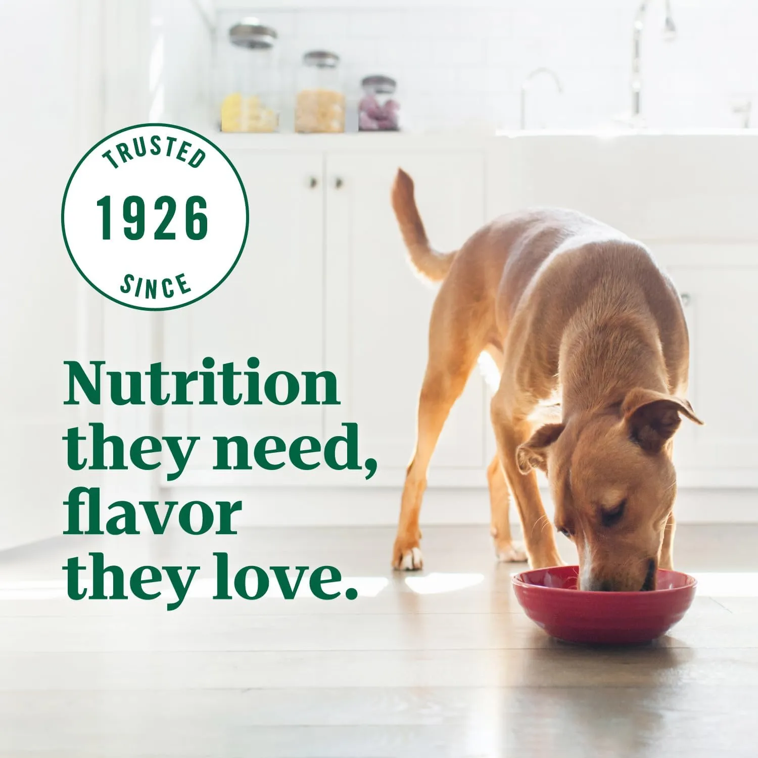 Nutro Ultra Adult Large Breed Dry Dog Food, Chicken, Lamb and Salmon Protein Trio, 13 lb Bag