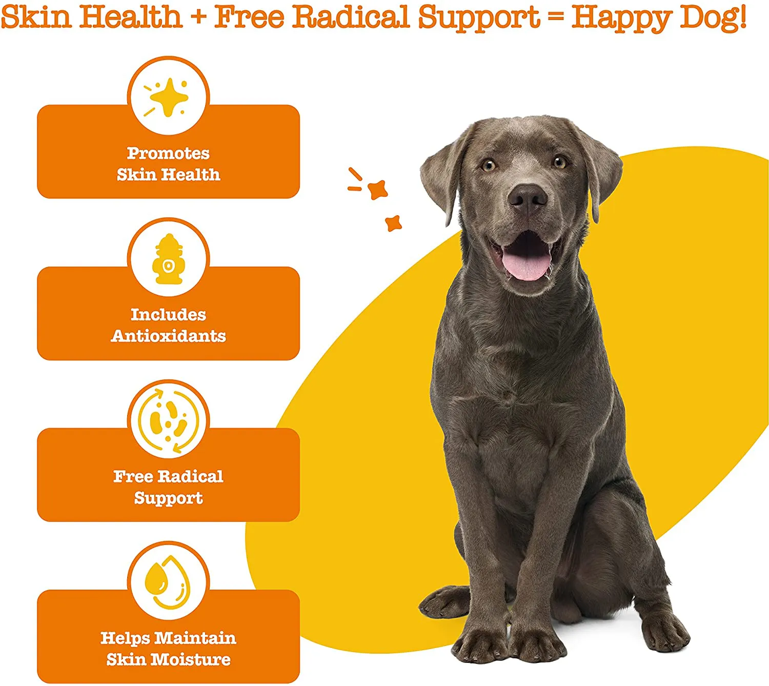 Omega 3 Alaskan Fish Oil Chew Treats for Dogs with AlaskOmega for EPA & DHA Fatty Acid, Itch Free Skin - Hip & Joint Support   Heart & Brain Health