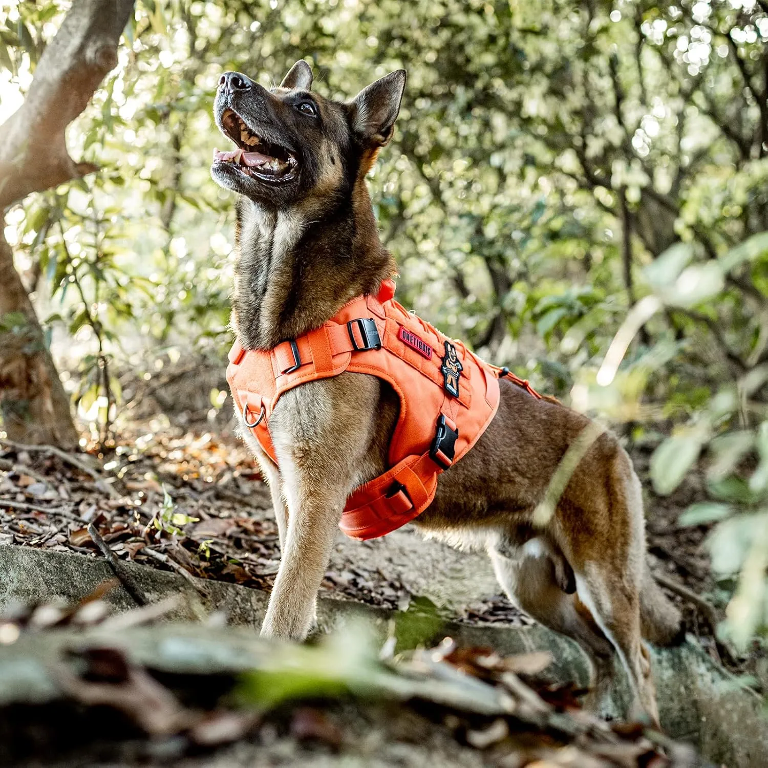 OneTigris Tactical Dog Harness Vest with Handle, Military Dog Harness for Large Medium Dogs,FIRE WATCHER 2.0 No-Pull Service Dog Vest,Adjustable Dog Vest Harness for Walking Hiking Training(XL,Orange)