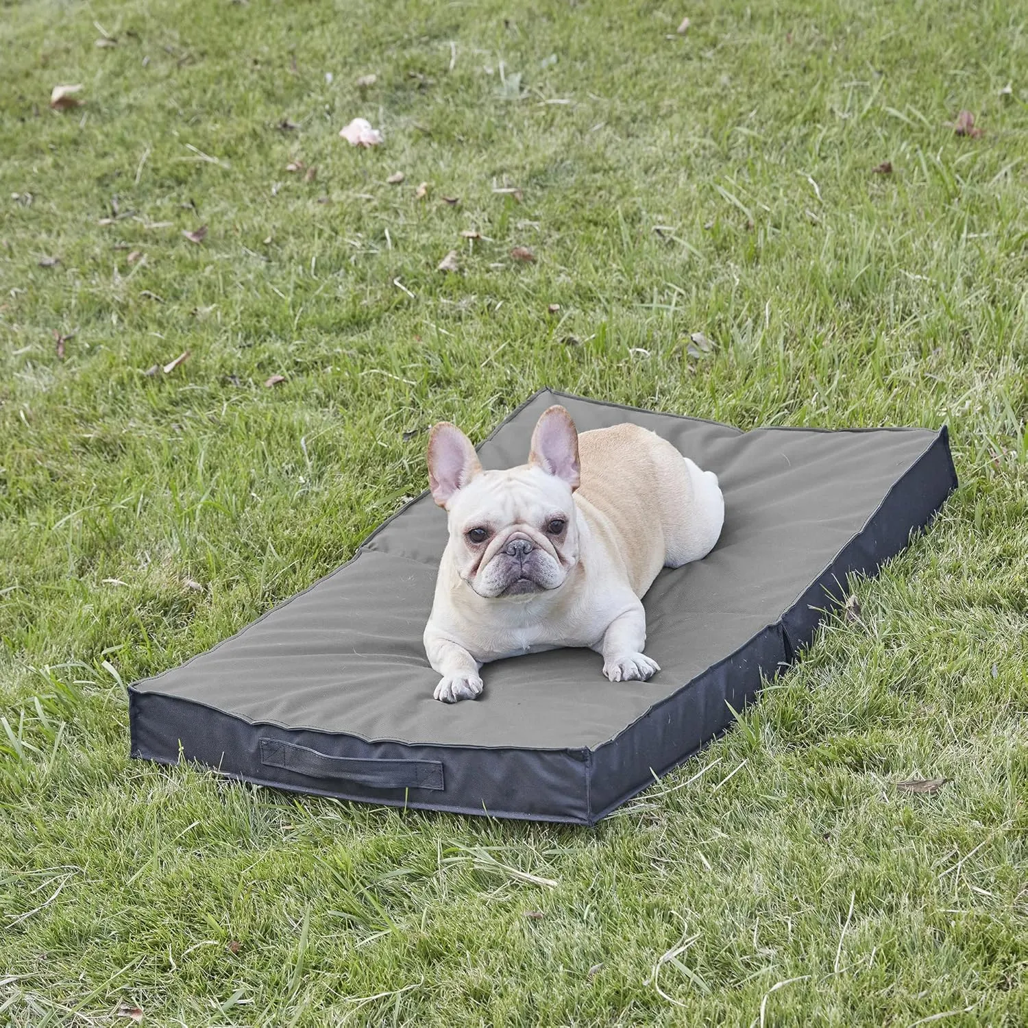 Outdoor Dog Bed for Large Dogs, Waterproof & Washable, Foldable & Orthopedic, 41" All Weather