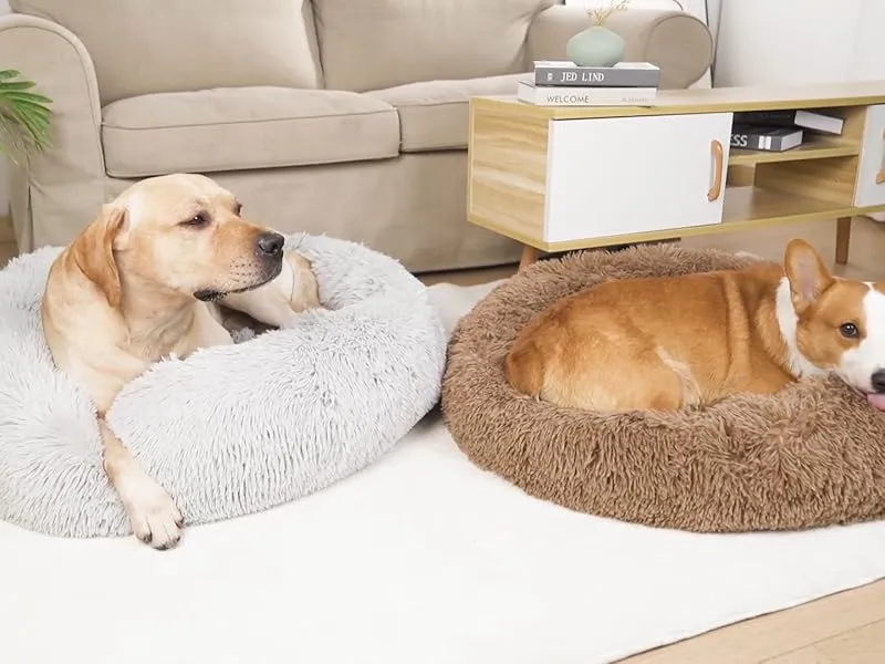Pet Comfort Calming Bed