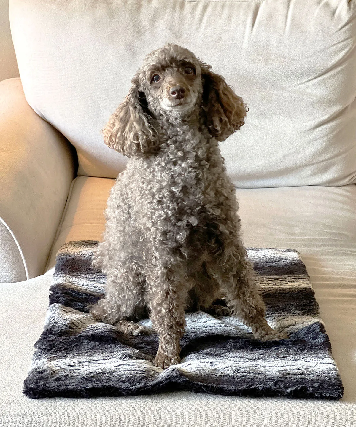 Pet / Dog Blanket - Luxury Faux Fur in Rattle N Shake