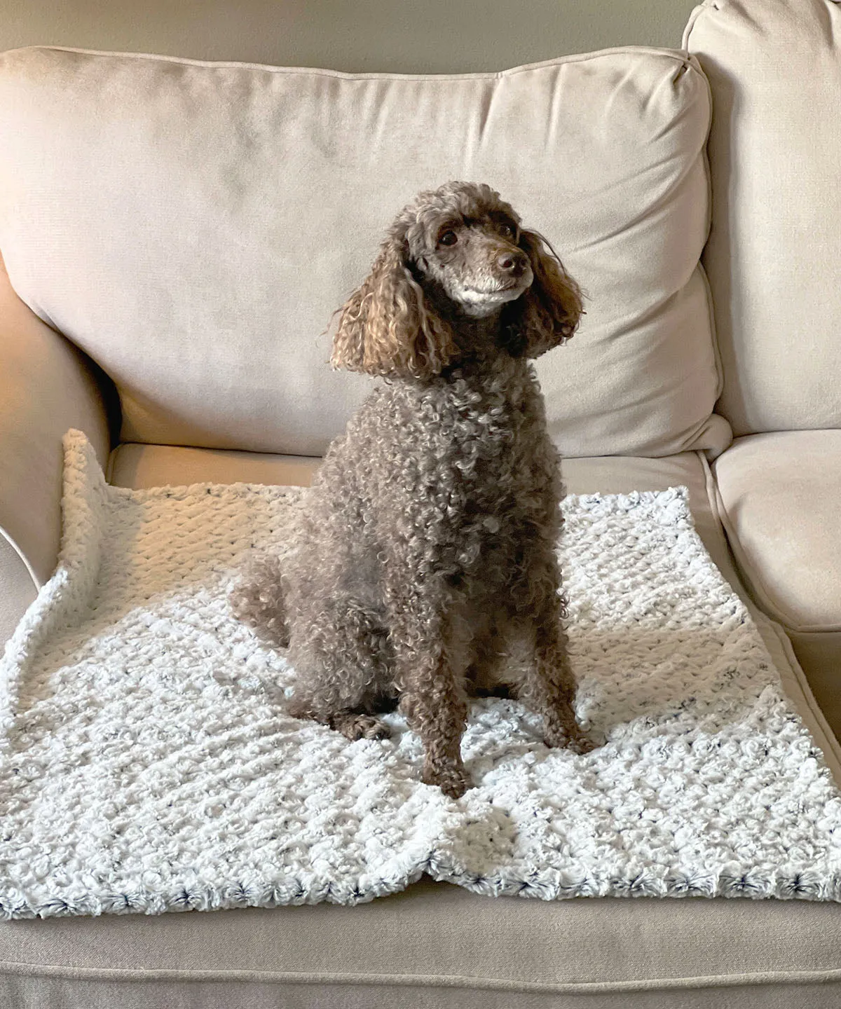 Pet / Dog Blanket - Luxury Faux Fur in Winters Frost