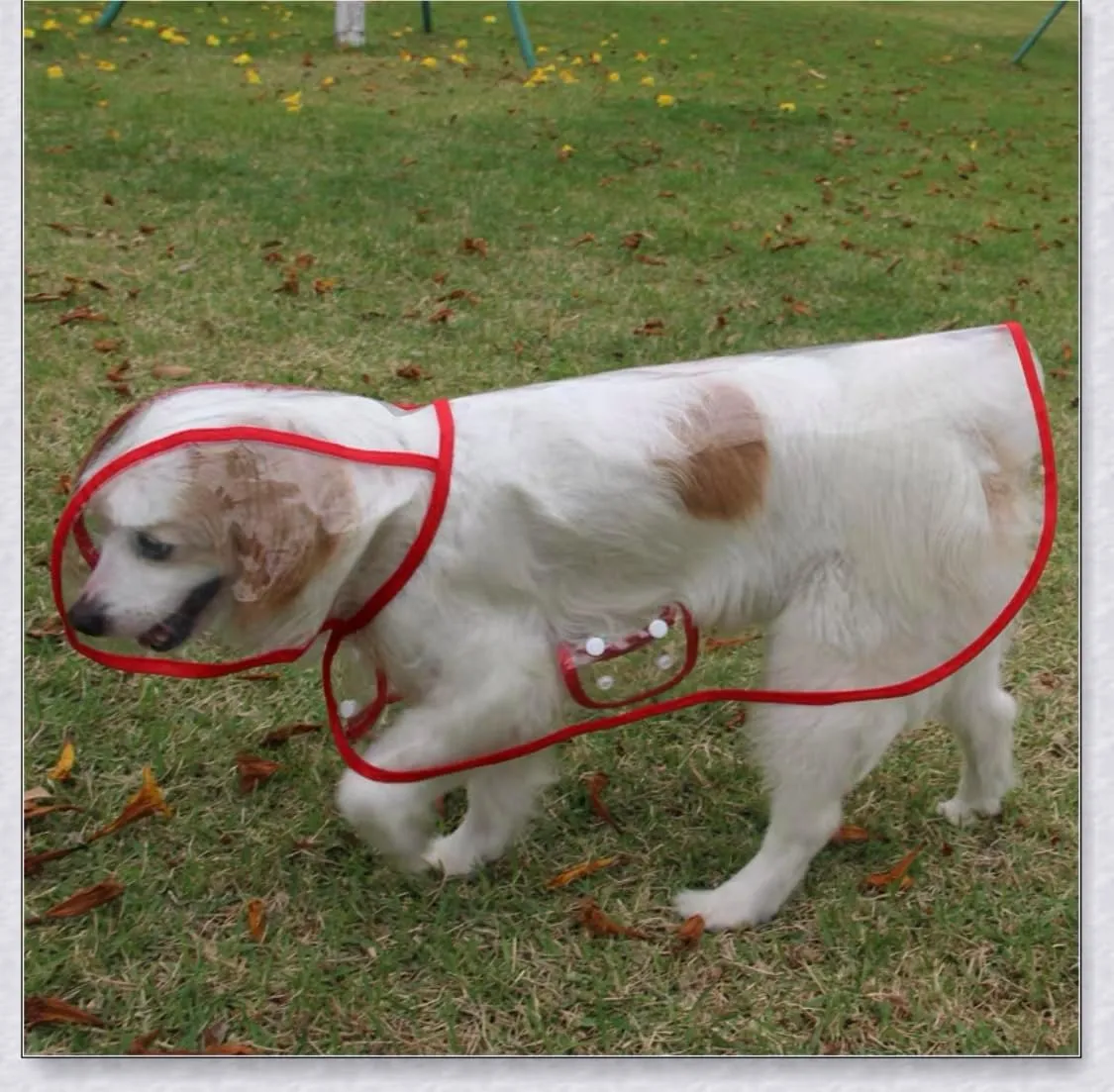 Pet Raincoat,Small Dog Waterproof Puppy Raincoat Coat Transparent Pet Dog Rainwear Clothes for Small Dogs Cats (S,Red)