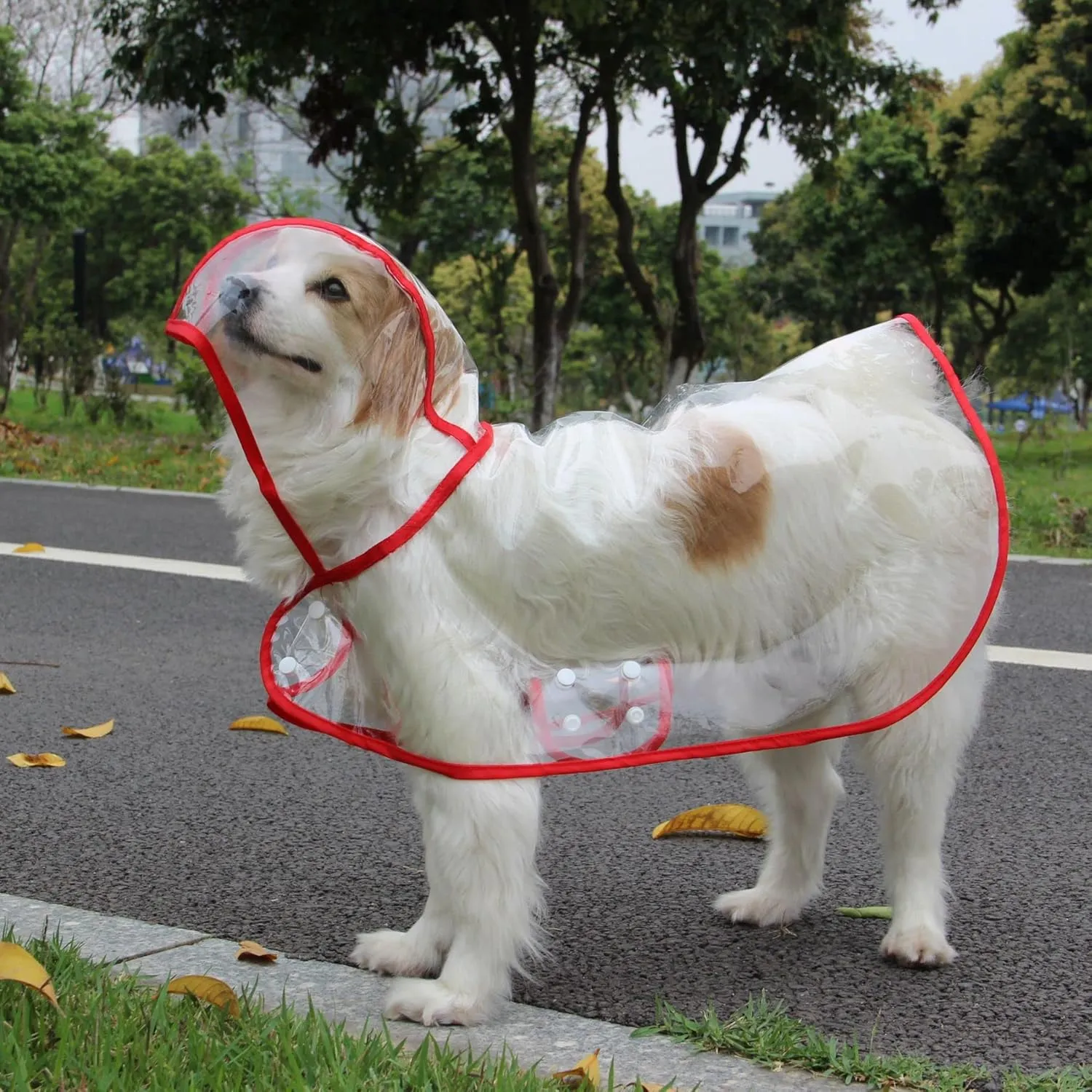 Pet Raincoat,Small Dog Waterproof Puppy Raincoat Coat Transparent Pet Dog Rainwear Clothes for Small Dogs Cats (S,Red)