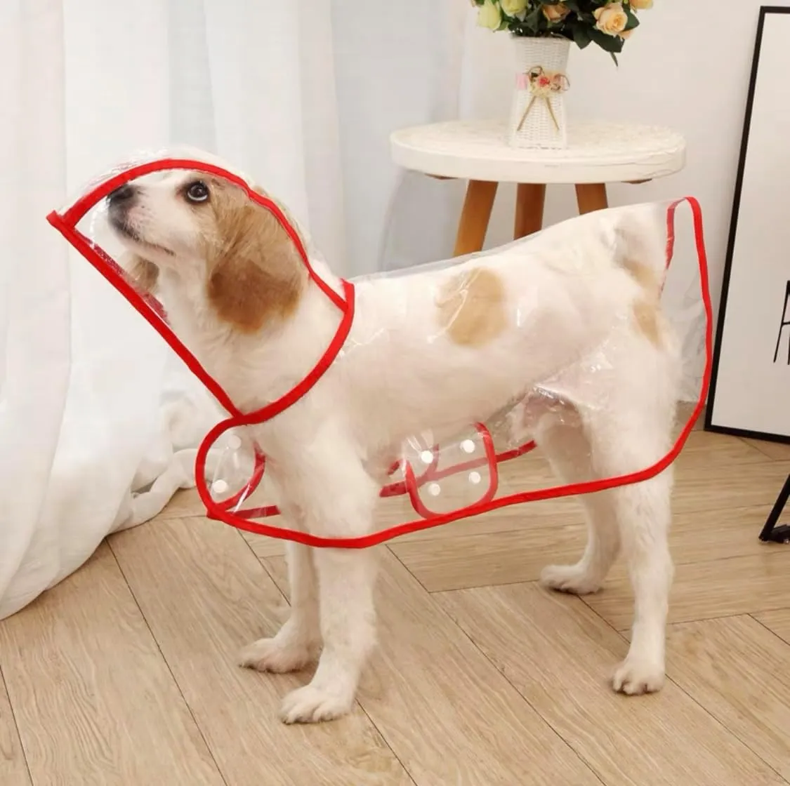 Pet Raincoat,Small Dog Waterproof Puppy Raincoat Coat Transparent Pet Dog Rainwear Clothes for Small Dogs Cats (S,Red)