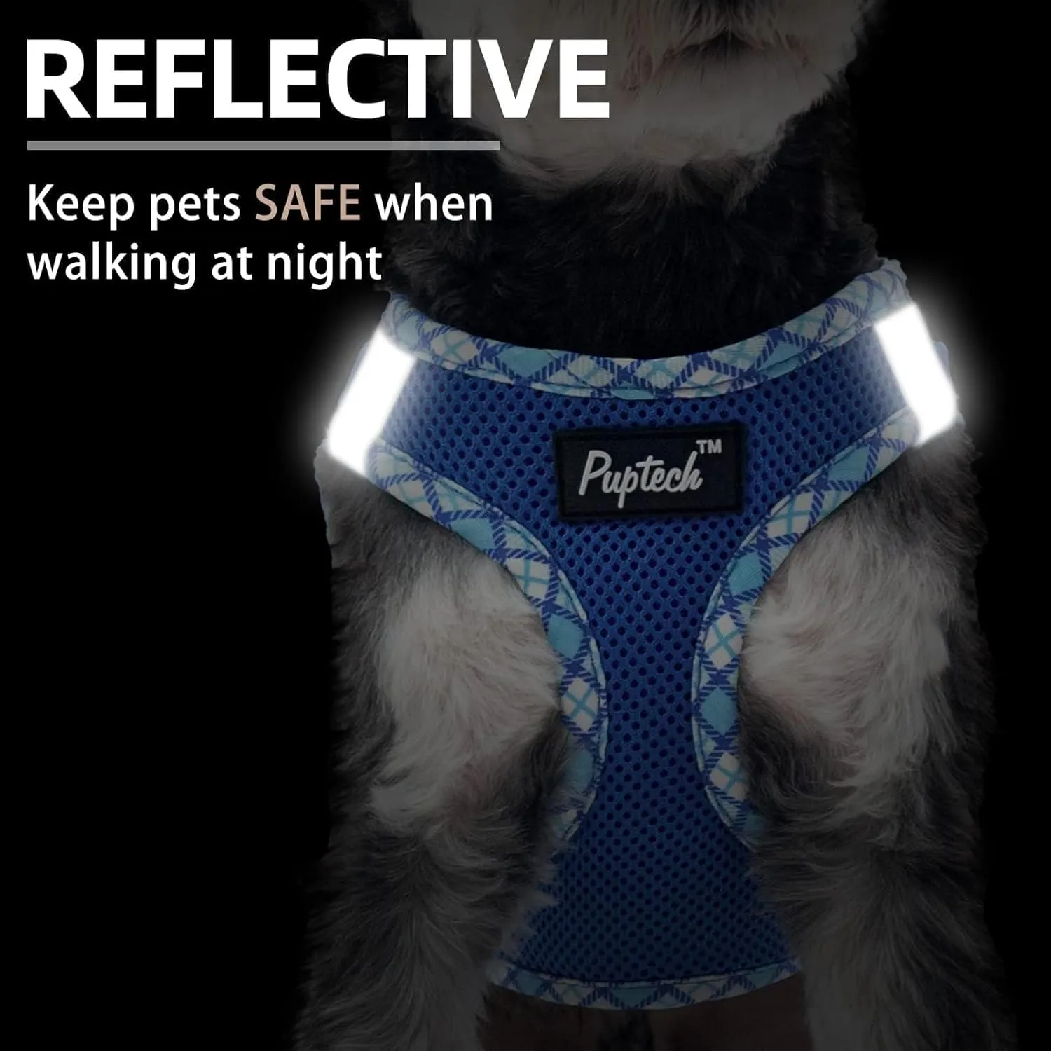 PUPTECK Dog Harness and Leash Set for Small Medium Dogs No Pull Step-in Soft Mesh Puppy Cat Vest Harnesses Reflective at Night, Blue M