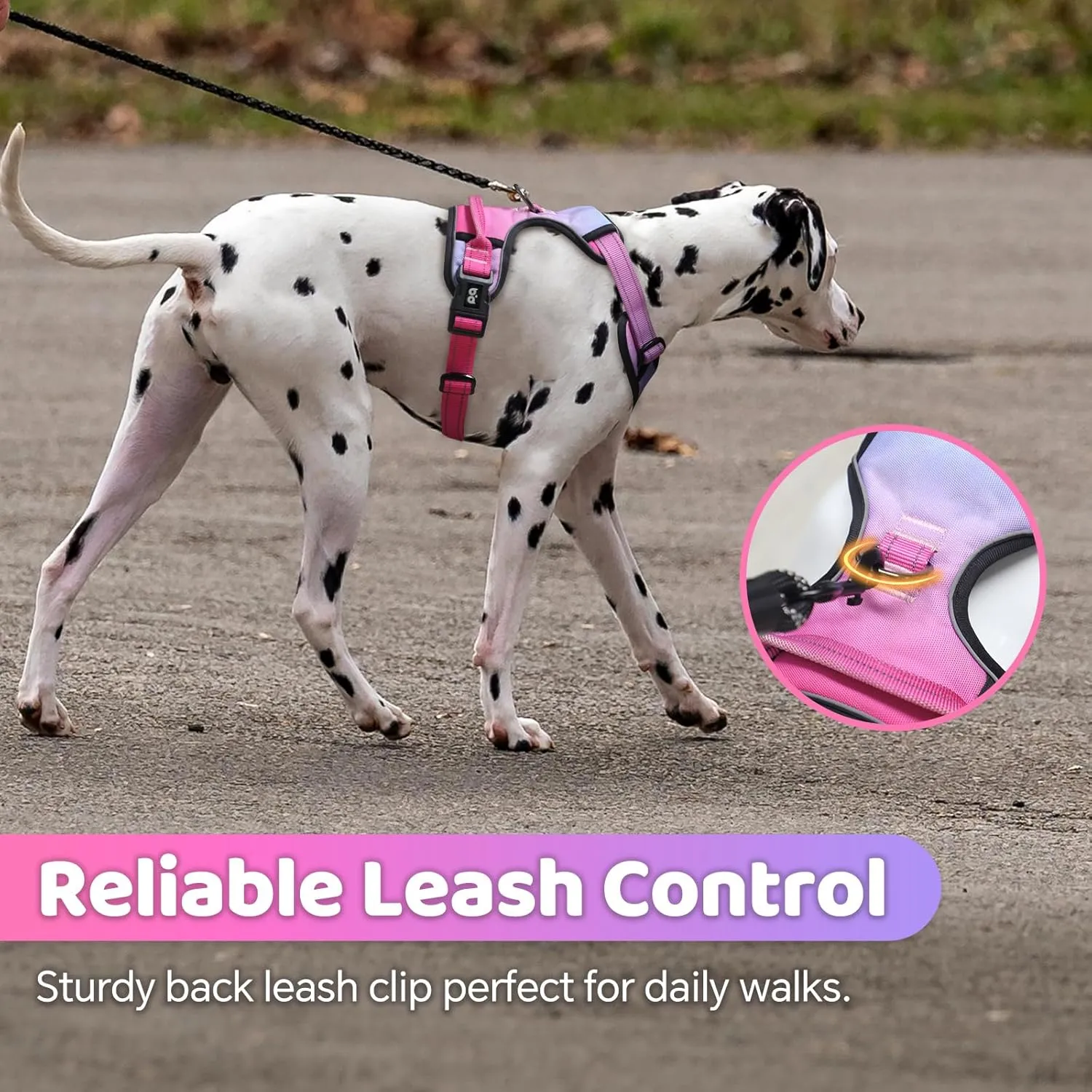 QQPETS No Pull Dog Harness with 2 Leash ClipsAdjustable Soft Padded Dog Vest, Reflective Outdoor Pet Oxford Vest with Easy Control Handle for Small to Large Dogs Walking Training
