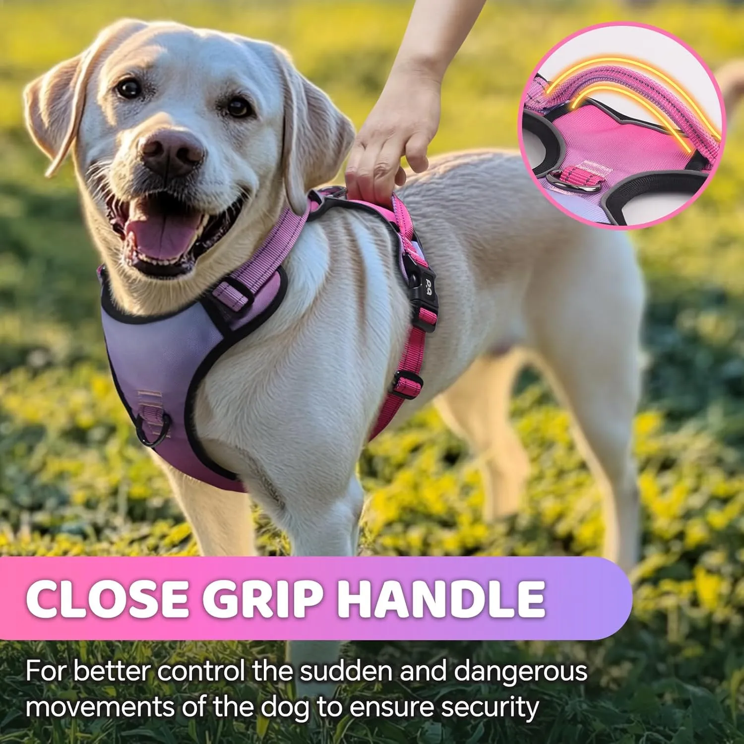 QQPETS No Pull Dog Harness with 2 Leash ClipsAdjustable Soft Padded Dog Vest, Reflective Outdoor Pet Oxford Vest with Easy Control Handle for Small to Large Dogs Walking Training