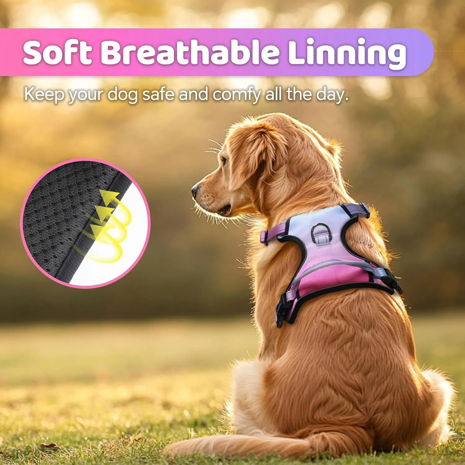 QQPETS No Pull Dog Harness with 2 Leash ClipsAdjustable Soft Padded Dog Vest, Reflective Outdoor Pet Oxford Vest with Easy Control Handle for Small to Large Dogs Walking Training