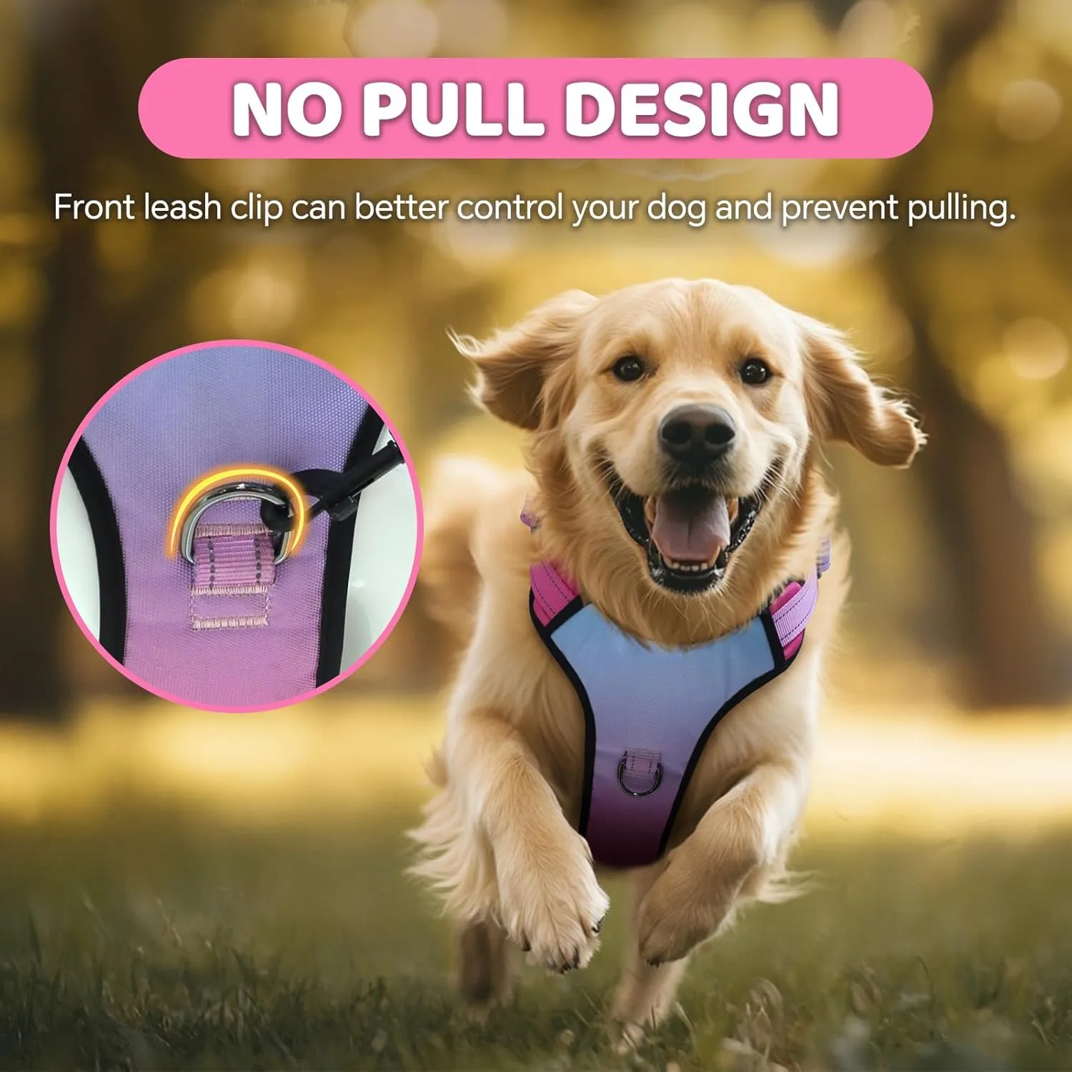 QQPETS No Pull Dog Harness with 2 Leash ClipsAdjustable Soft Padded Dog Vest, Reflective Outdoor Pet Oxford Vest with Easy Control Handle for Small to Large Dogs Walking Training