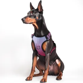 QQPETS No Pull Dog Harness with 2 Leash ClipsAdjustable Soft Padded Dog Vest, Reflective Outdoor Pet Oxford Vest with Easy Control Handle for Small to Large Dogs Walking Training