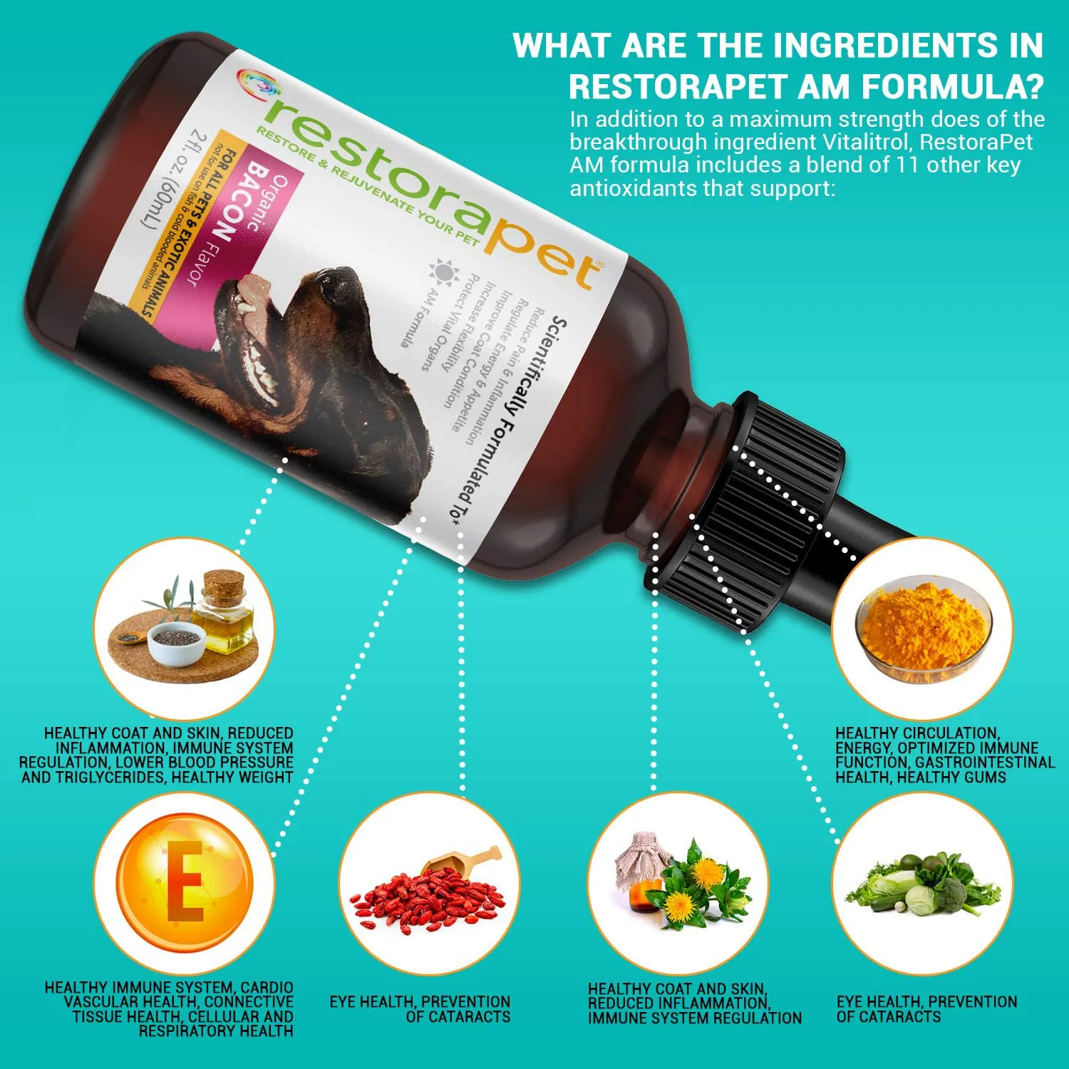 RestoraPet Organic Bacon Flavor Pet Supplement for Dogs, Cats & Horses | Healthy & Safe Antioxidant Liquid Drops | Anti-Inflammatory Multi-Vitamin | Increases Mobility, Energy & Reduces Joint Pain