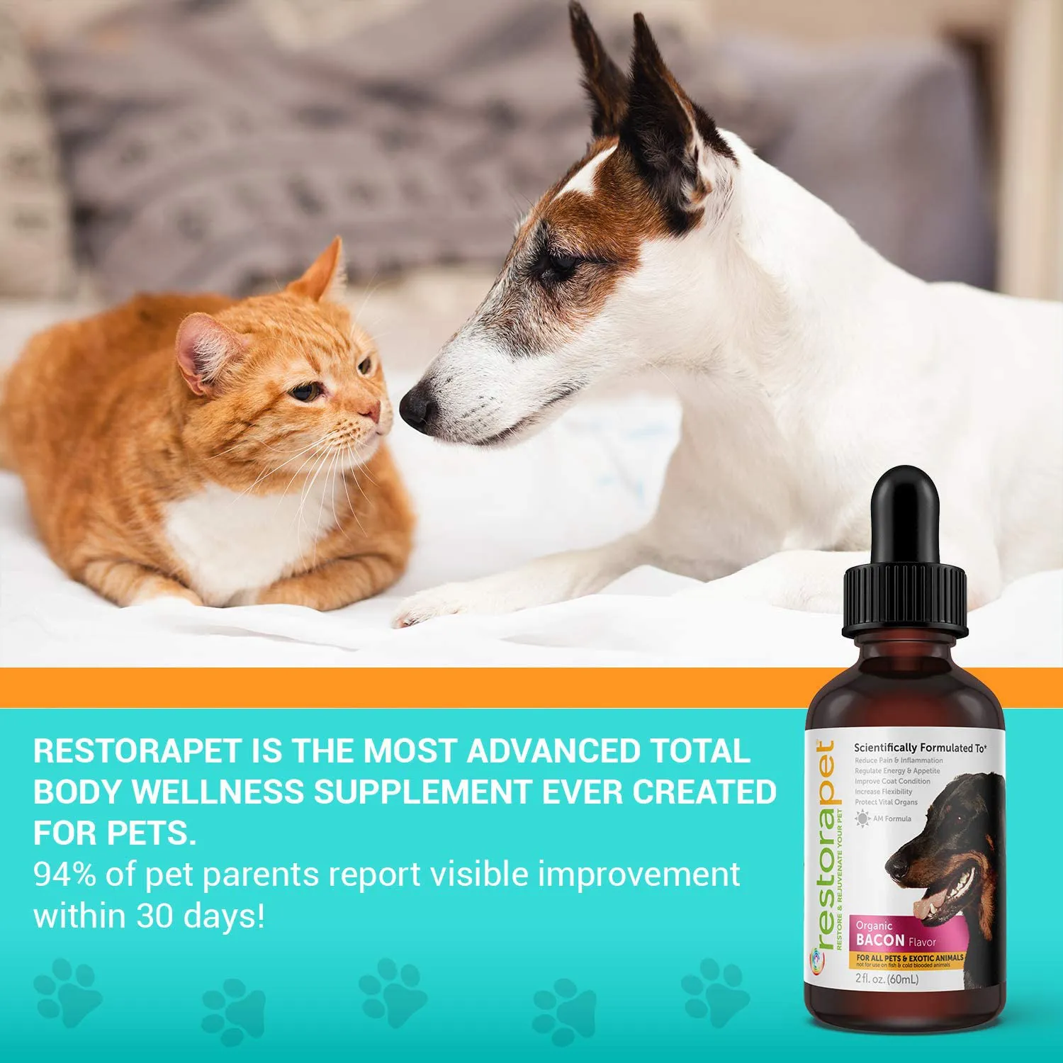 RestoraPet Organic Bacon Flavor Pet Supplement for Dogs, Cats & Horses | Healthy & Safe Antioxidant Liquid Drops | Anti-Inflammatory Multi-Vitamin | Increases Mobility, Energy & Reduces Joint Pain