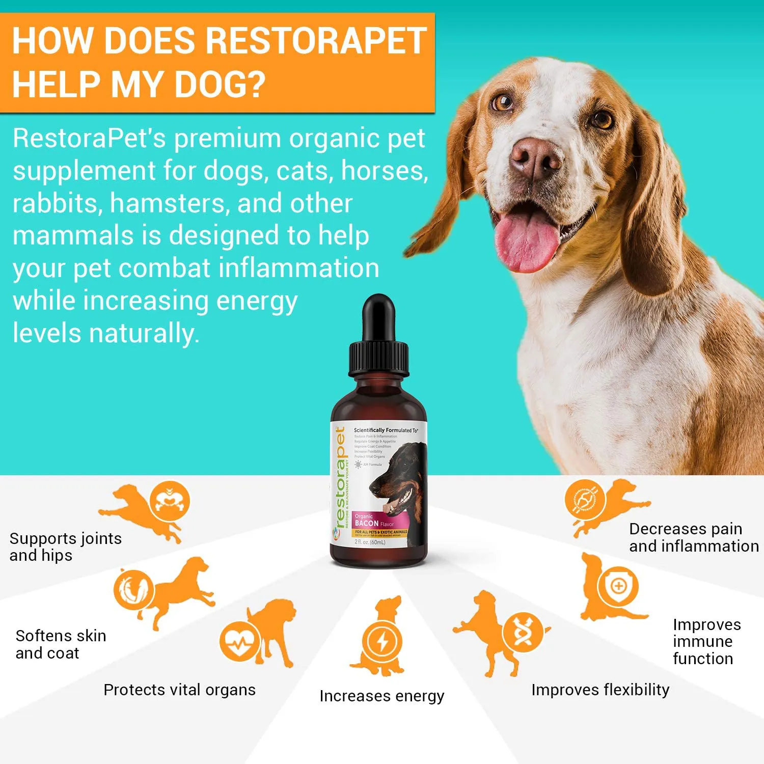 RestoraPet Organic Bacon Flavor Pet Supplement for Dogs, Cats & Horses | Healthy & Safe Antioxidant Liquid Drops | Anti-Inflammatory Multi-Vitamin | Increases Mobility, Energy & Reduces Joint Pain
