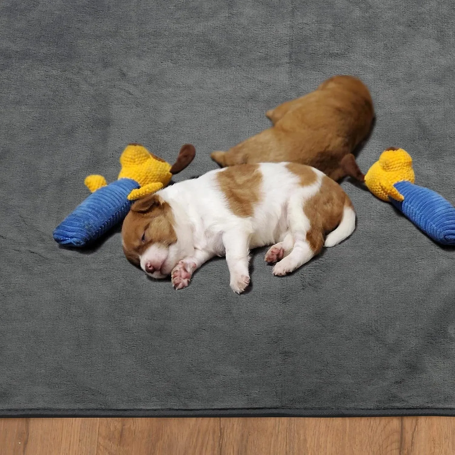 Reusable Pee Pads for Dogs, 24x48 4 Pack Washable Puppy Pads, Absorb Dog Mats Non-Slip Puppy Training Pads for Whelping, Potty, Training, Playpen, Crate