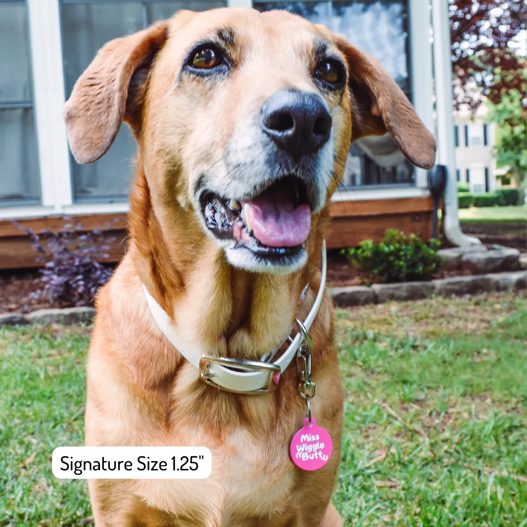 Short Stuff With Fluff Funny Dog Tag