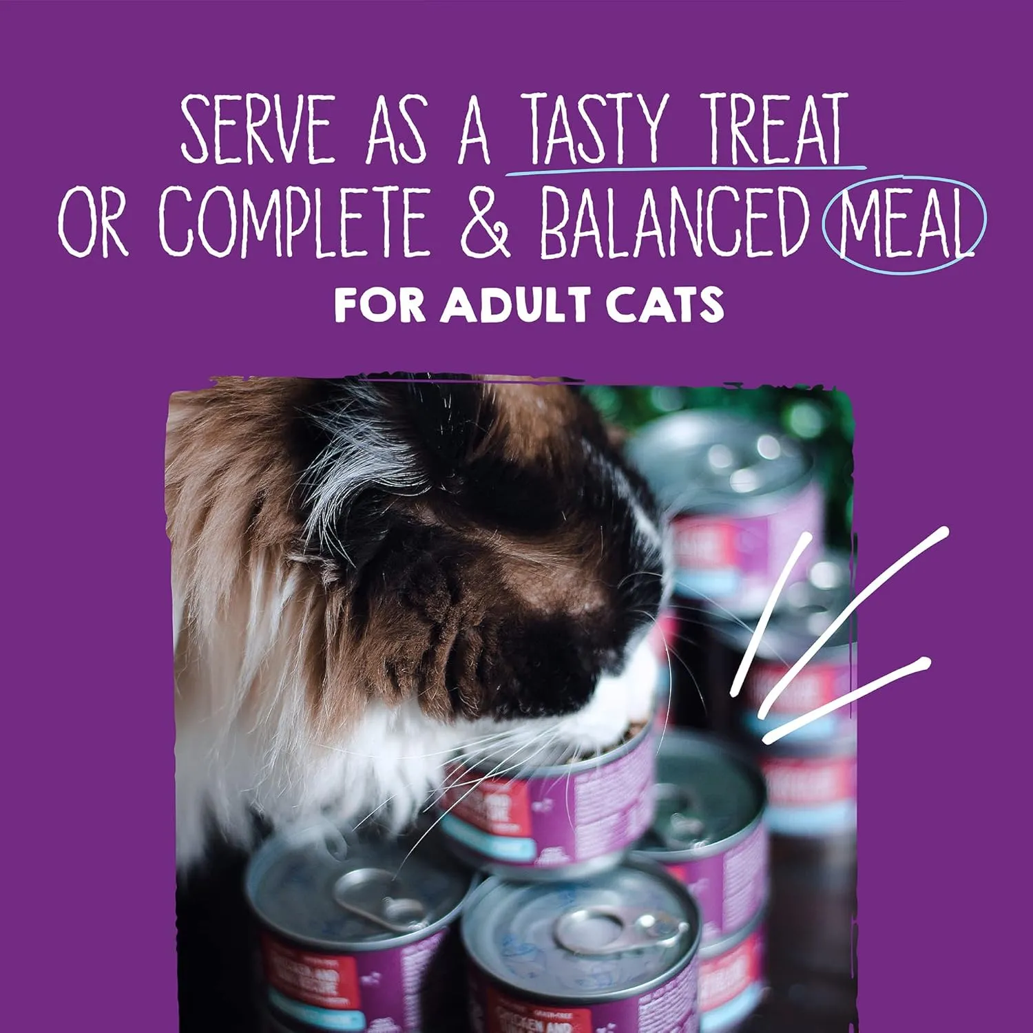 Stella & Chewys Carnivore Cravings Purrfect Pate Canned Wet Cat Food Variety Pack  (2.8 Ounce Cans, Case of 12)