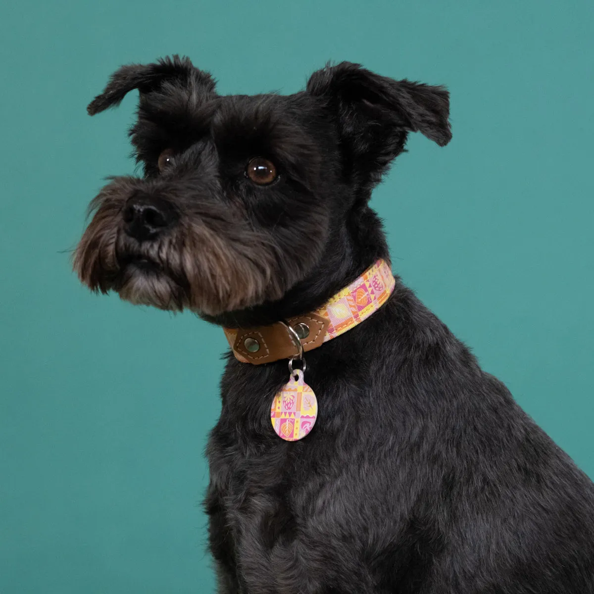 'Summer Harvest' Pet Tag