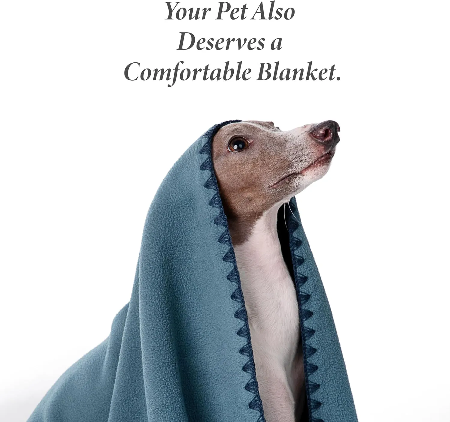 Super Soft Fleece Dog Blanket - 2 Pack, Dog Blankets for Small Dogs, Dog Blankets for Medium Dogs Washable, 24"x16" Puppy Blankets for Couch, Cat Blanket,All-Season Comfort
