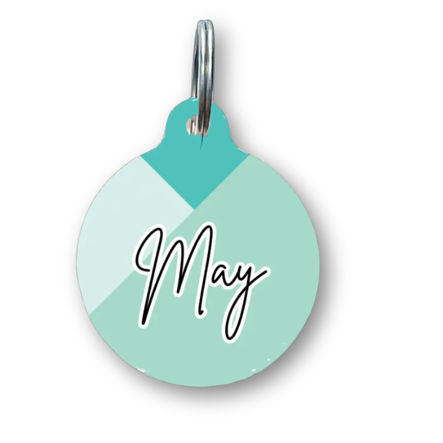 Tri Mint Circle Pet Tag
